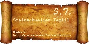 Steinschneider Teofil névjegykártya